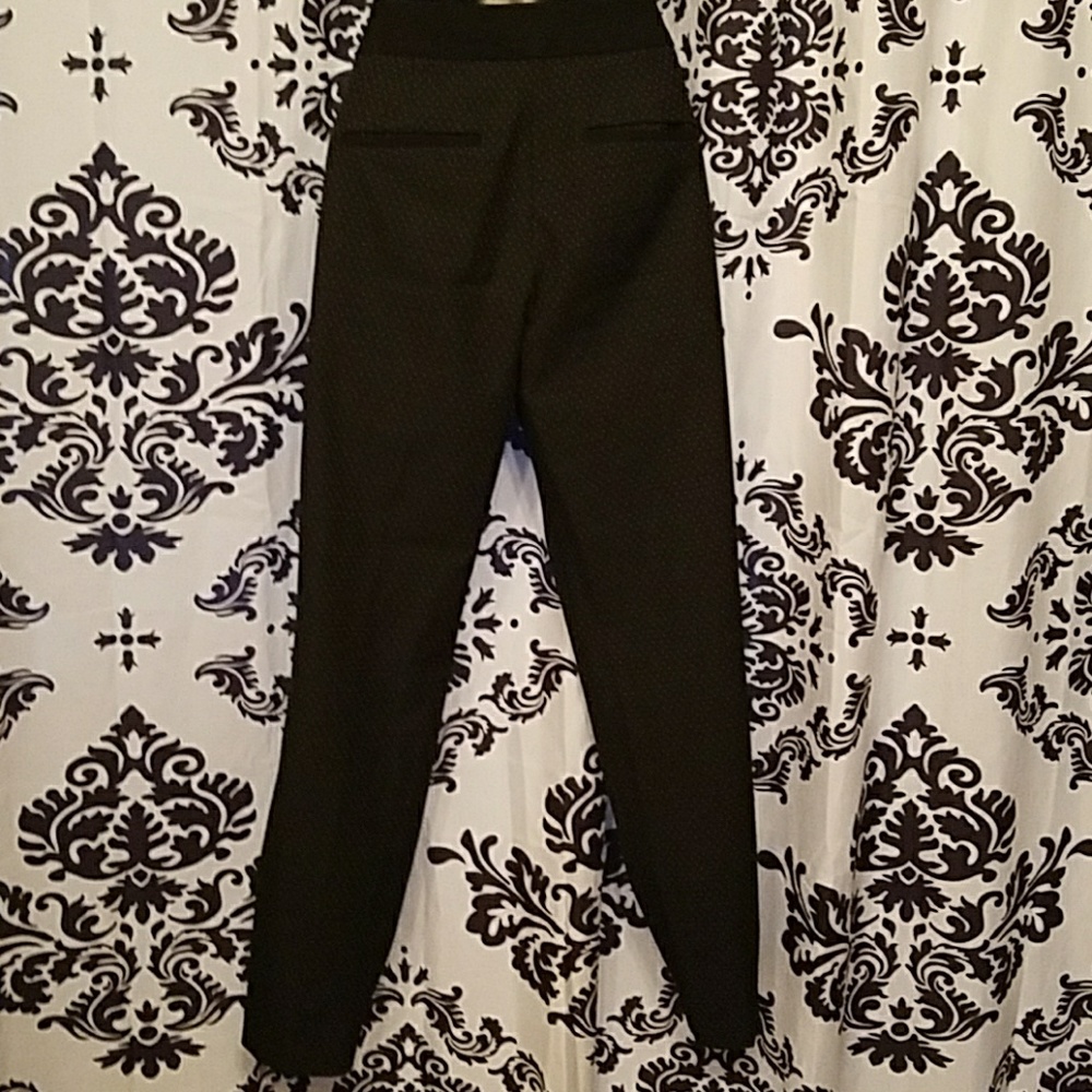 Express columnist slacks - Picture 2 of 4